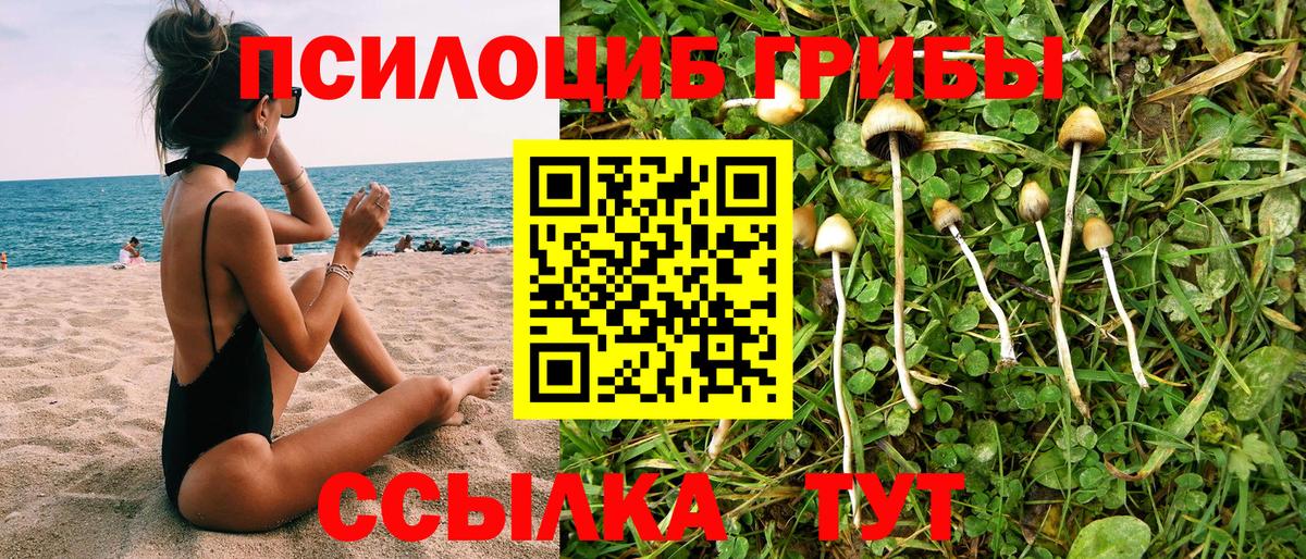 Псилоцибиновые грибы GOLDEN TEACHER  Псилоцибиновые грибы мухоморы  сколько стоит  Копейск  Вход с VPN 
